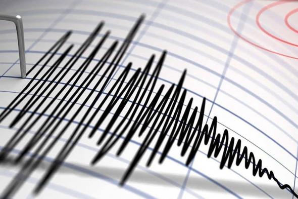 زلزال بقوة 5.2 درجات يضرب محافظة بوشهر جنوبي إيران