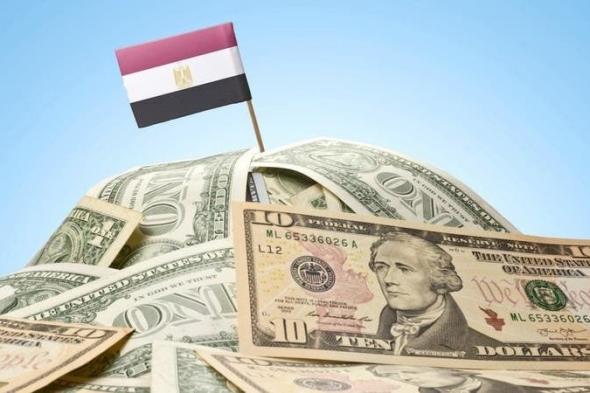 البنوك المصرية تتلقى 6.4 مليارات دولار "مدخرات أجنبية" في 9 أشهر