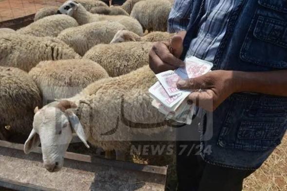 تيارت.. غلق أسواق المواشي عبر كامل الولاية 