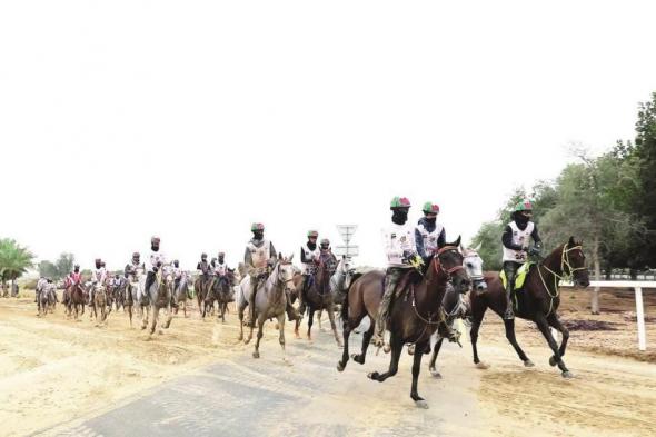 كأس ولي عهد دبي يختتم مهرجان القدرة