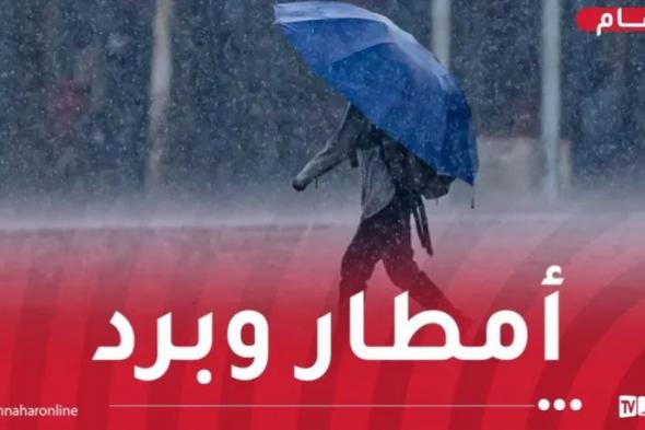 مرفوقة ببرد.. أمطار رعدية غزيرة تتعدى 70 ملم في هذه الولايات