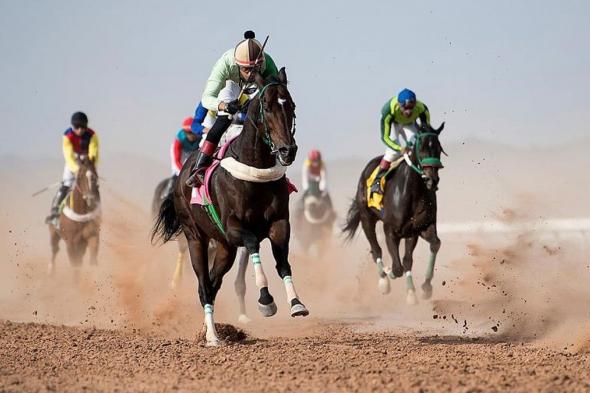 ميدان سباقات الخيل بنجران يُنظم اليوم حفل سباقه الرابع للموسم الحالي