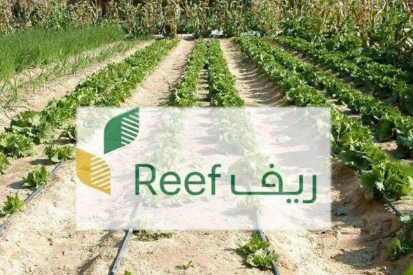 "ريف السعودية" يقدّم 2.4 مليار ريال للمستفيدين منذ إطلاقه