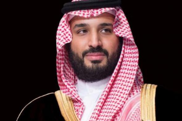 ولي العهد السعودي يبحث تعزيز العلاقات مع رئيس البرازيل