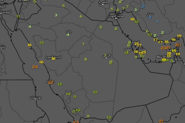 الحصيني: موجة البرد السابعة تؤثر على معظم الجزيرة العربية.. أجواء قطبية وبرودة شديدة