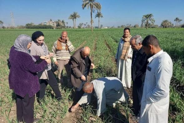 البحوث الزراعية: نشاط إرشادى مكثف فى إطار مبادرة المراكز الإرشادية خلال النصف...اليوم الأحد، 19 يناير 2025 09:48 صـ   منذ 16 دقيقة