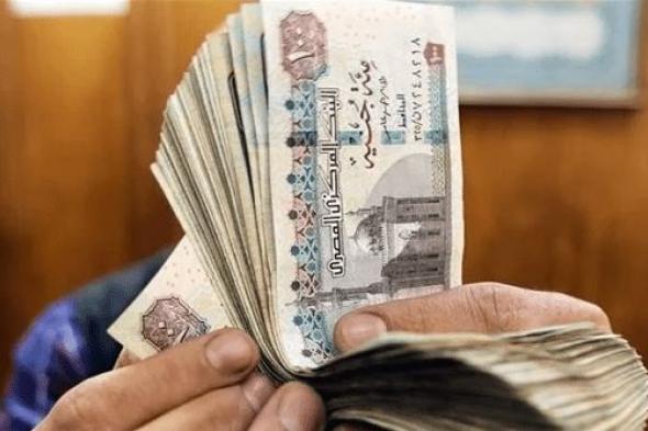 عاجل.. زيادة المرتبات 1000 جنيه والمعاشات 15% بتوجيهات الرئيس السيسي | مصادر تزف بشرى سارة للملايين