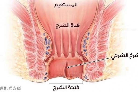 أفضل مرهم لعلاج الشرخ