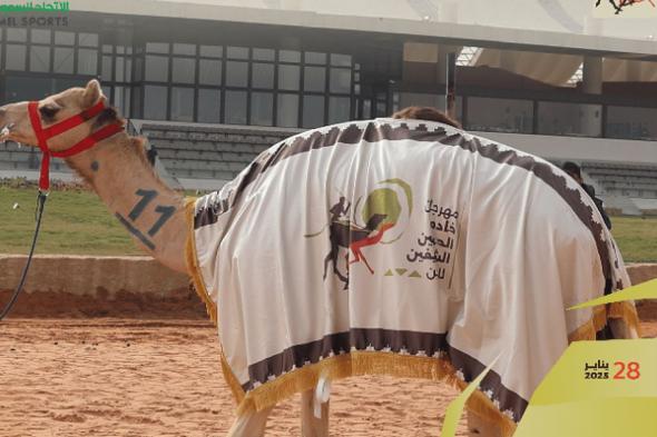 مهرجان خادم الحرمين الشريفين: ملاك الهجن الإماراتيون أبطالاً لكؤوس اليوم الثاني