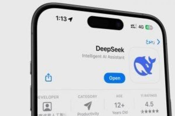 كيفية استخدام DeepSeek R1 على الكمبيوتر والموبايل.. وطريقة تثبيته محليا