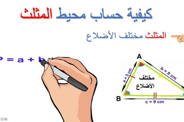 تعرف على كيفية حساب محيط المثلث ومساحته